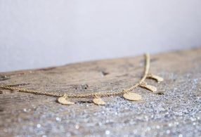 Fauna_y_Flora_Collar_Fases_Lunares2 Fauna_y_Flora_Collar_Fases_Lunares2