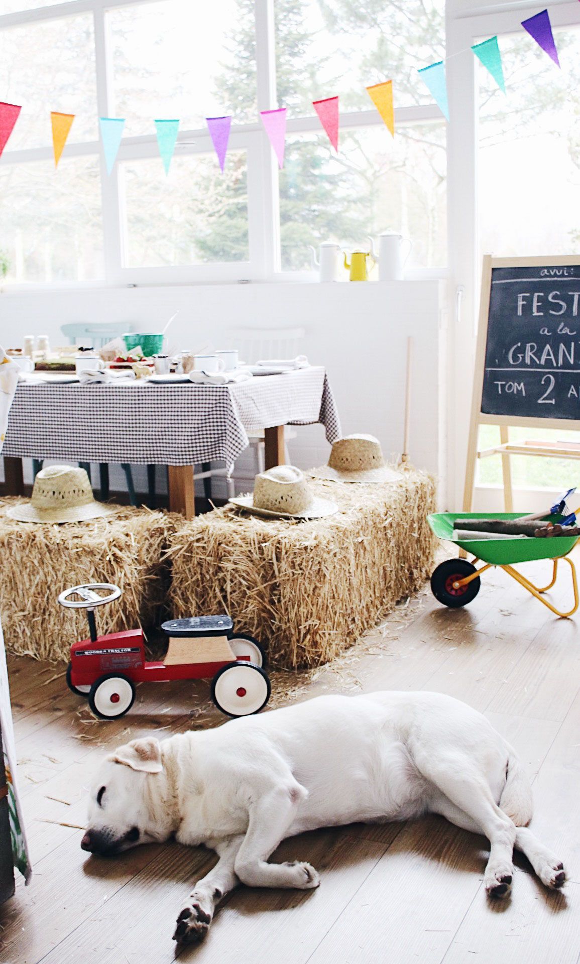 Fiesta y detalles de decoración cumpleaños de Tom 2 años fiesta en la granja