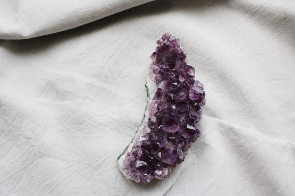 Amatista en forma de luna Selected Crystals Fauna y Flora