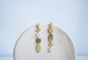 Fauna y Flora pendientes largos Diatomeas