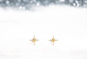 Fauna y Flora pendientes Destello estrella_-3 Fauna y Flora pendientes Destello estrella_-3