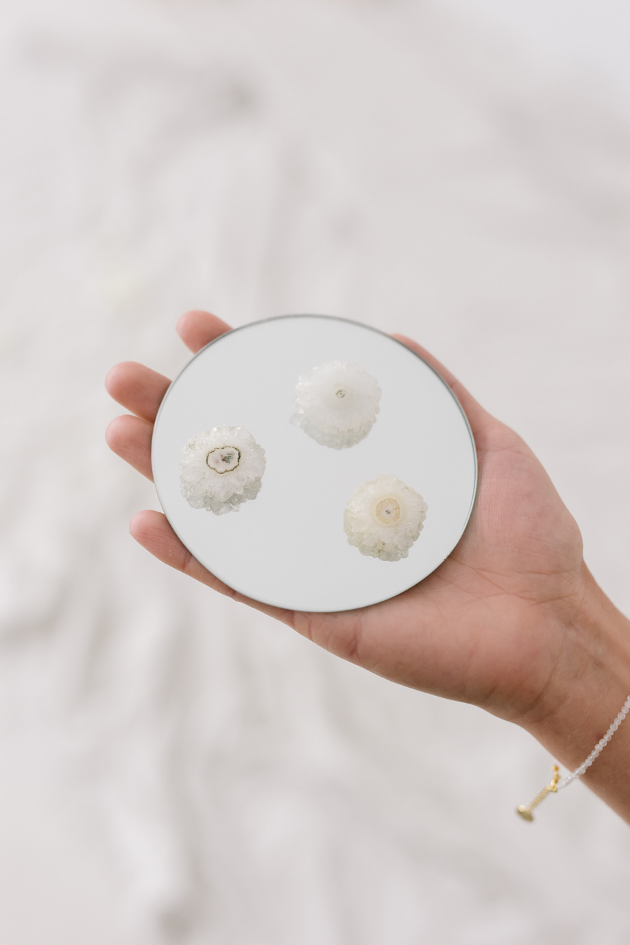 Cuarzo Solar Crisantemos de Fauna y Flora